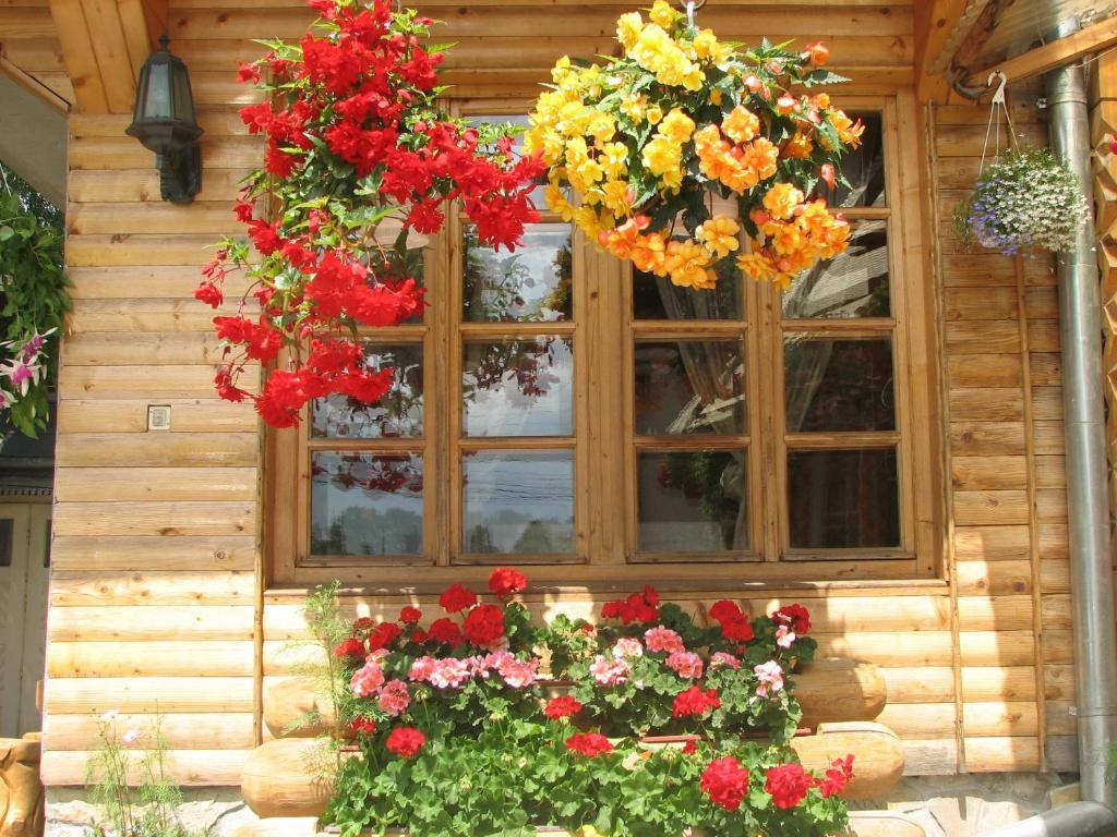 Pension Crizantema Vatra Moldoviţei Exterior foto